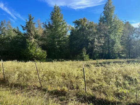 0000 SW Cr 3170, Winnsboro, TX 75494