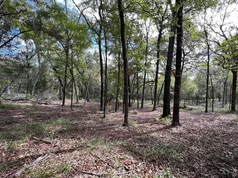 13648 Cr 420, Tyler, TX 75704