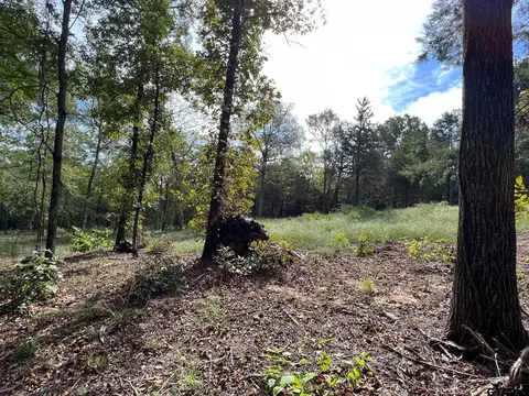 13610 Cr 420, Tyler, TX 75704