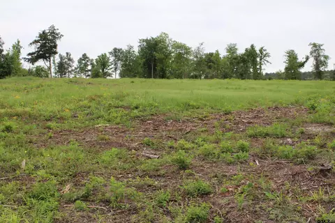 tbd Cr 2217 #LOT 3, Rusk, TX 75785