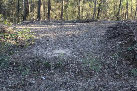tbd Cr 2217 #LOT 1, Rusk, TX 75785