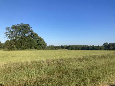 15326 Cr 1100, Tyler, TX 75703