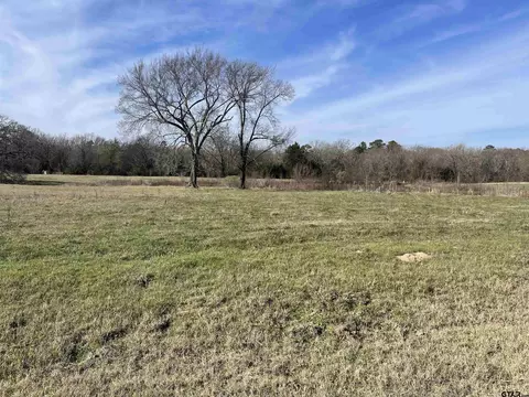 tbd Cr 2320, Pittsburg, TX 75686