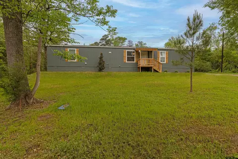 7376 Forest Hill Dr, Frankston, TX 75763