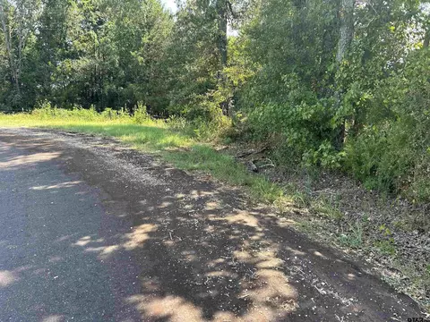 tbd 1517 Acres County Road 376, Henderson, TX 75654
