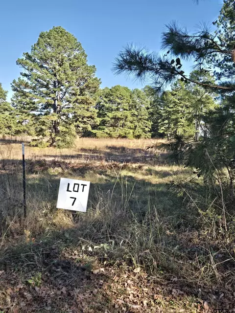 0000 Cr 474 Tract 7, Price, TX 75687