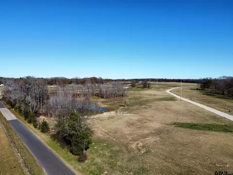 lot23 Cr 2230, Mineola, TX 75773