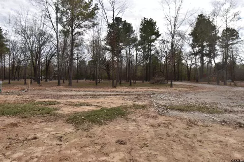 250 Cr 2198, Mineola, TX 75773