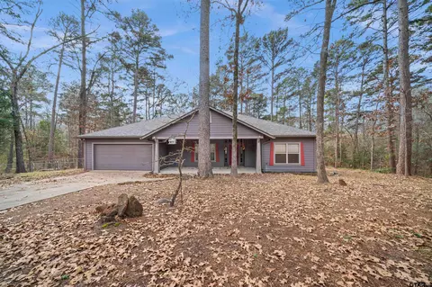 17585 Flaming Tree Way, Flint, TX 75762