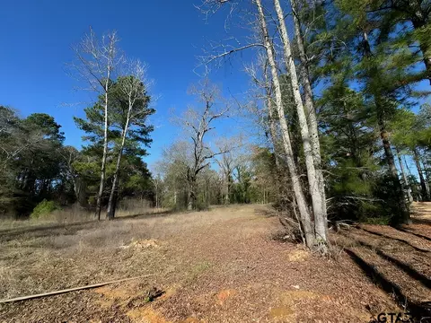 lot4 Berrycreek Cir, Frankston, TX 75763