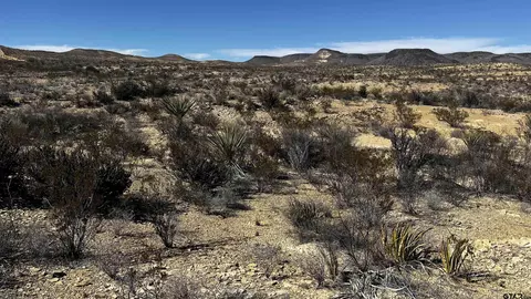 24482 Raven, Terlingua, TX 79852