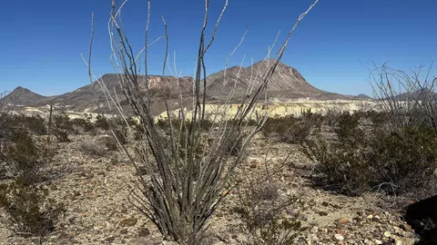 26946 Creekview Pid 26946, Terlingua, TX 79852