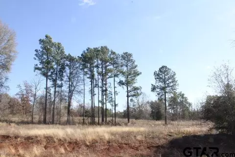 880 Stone Chimney Rd, Bullard, TX 75757