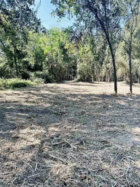 18386 County Road 2154, Troup, TX 75789