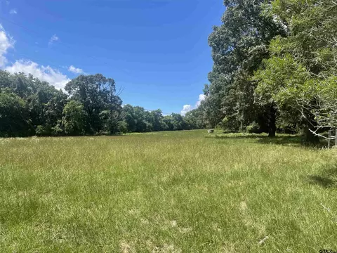 419 Acr 434, Palestine, TX 75803