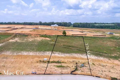 376 Mac Cir, Bullard, TX 75757