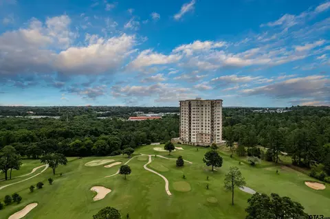 2801 Wexford Dr UNIT 502, Tyler, TX 75709