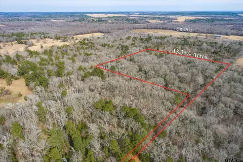 tbd County Road 4917, Ben Wheeler, TX 75754