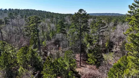 0 An Cr 480, Palestine, TX 75803