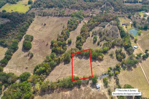 1 NE 25 Acres Ne Cr 2060, Mount Vernon, TX 75457