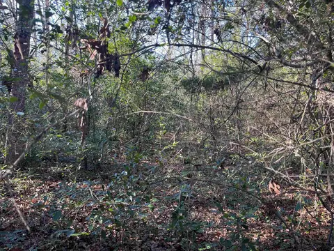 tbd W Bent Bow Ln, Holly Lake Ranch, TX 75765