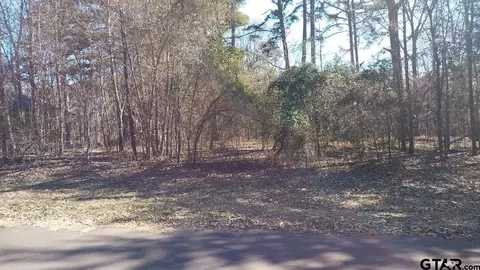 18503 Enchanted Woods, Flint, TX 75762