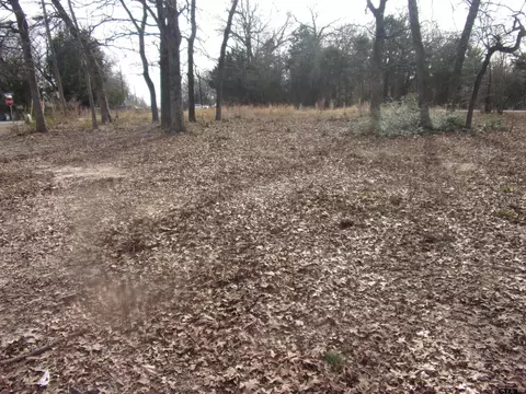 111 Mimosa Dr, Murchison, TX 75778 photo 6
