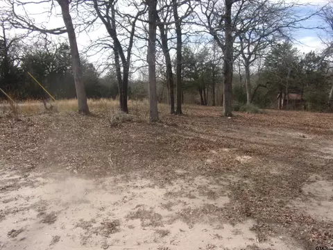 111 Mimosa Dr, Murchison, TX 75778 photo 5