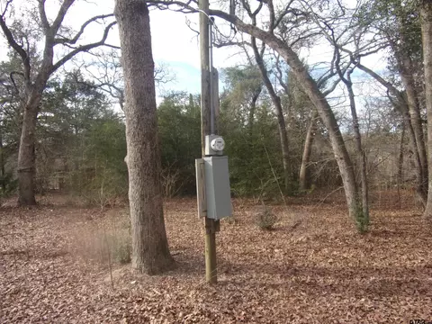 111 Mimosa Dr, Murchison, TX 75778 photo 7
