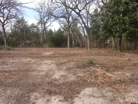 111 Mimosa Dr, Murchison, TX 75778