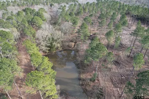 Tract A County Road 4037, Timpson, TX 75975