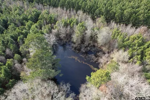 Tract D County Road 4037, Timpson, TX 75975