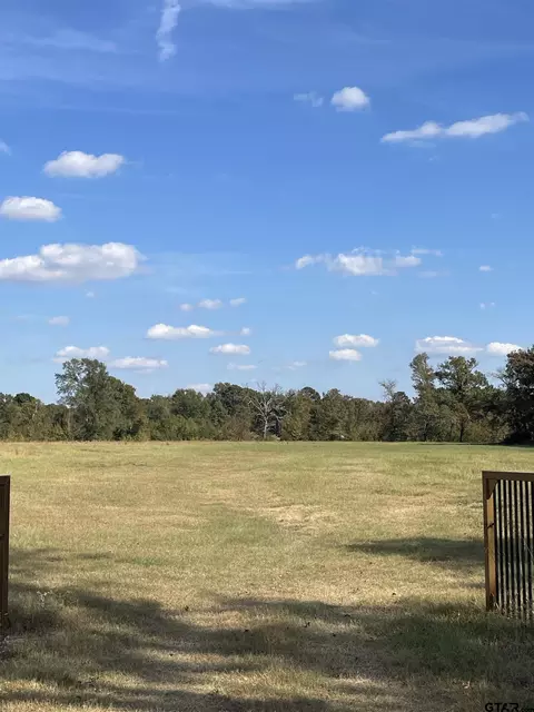 tbd Cr 3216, Pittsburg, TX 75686