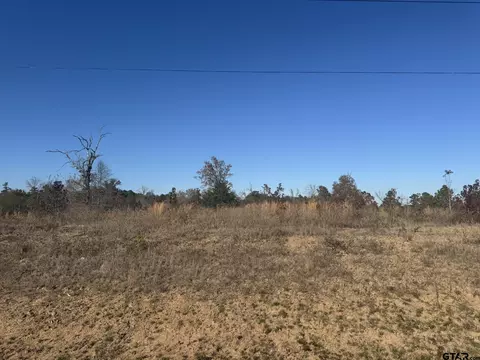 16643 Ridgeline Loop, Winona, TX 75792