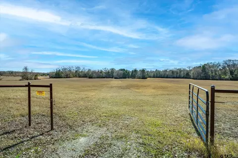 000 Vz County Road 4703, Ben Wheeler, TX 75754