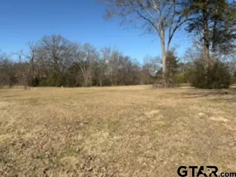 000 Sh 314, Van, TX 75790