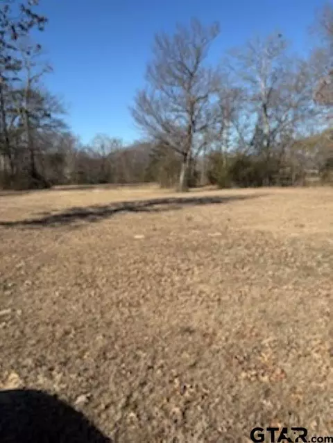000 Fm 314, Van, TX 75790 photo 6