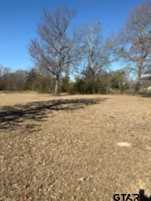 000 Fm 314, Van, TX 75790 photo 4