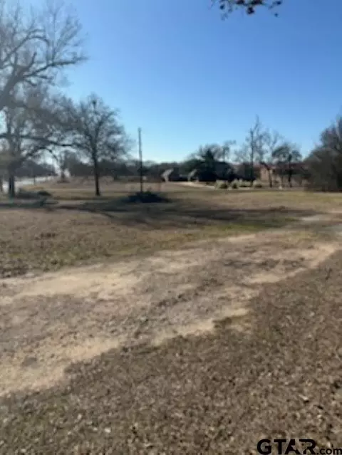 000 Fm 314, Van, TX 75790 photo 3