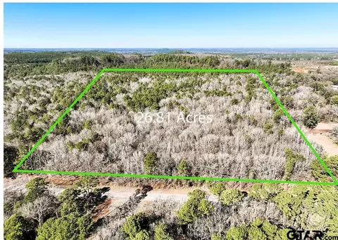 tbd Fm 2796 Tract 2, Pittsburg, TX 75686