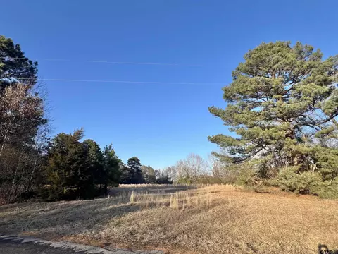 tbd Cr 4122, Simms, TX 75574