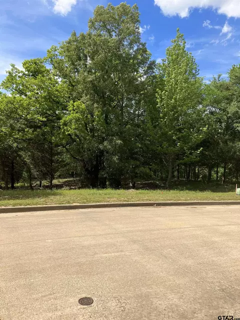 2433 Wellington Trce, Tyler, TX 75709