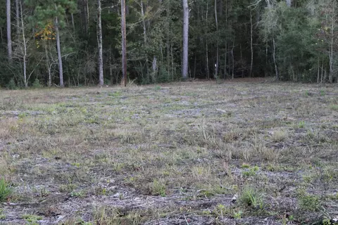 tbd Fm 1857 #LOT 11, Rusk, TX 75785