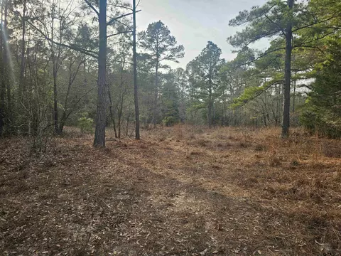 tbd Cr 3215, Jacksonville, TX 75766