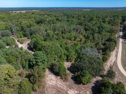 Tract 1 Fm 279, Ben Wheeler, TX 75754