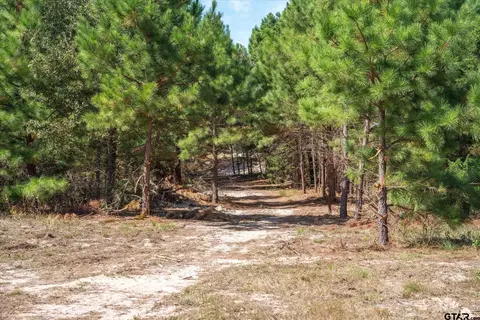 Tract 2 Pr 8079, Ben Wheeler, TX 75754