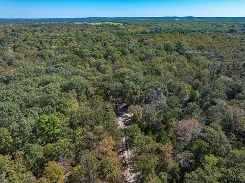 Tract 3 Pr 8079, Ben Wheeler, TX 75754