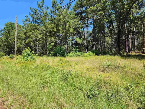 16373 County Road 436, Lindale, TX 75771