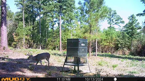 tbd Pr 8079, Ben Wheeler, TX 75754