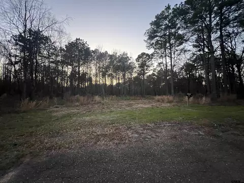 401 County Road 3305, Naples, TX 75568